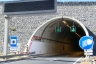 Tunnel de Palmeira