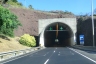 Pinheiro Grande Tunnel