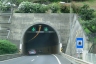 Quinta da Palmeira Tunnel