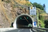 Quinta do Leme Tunnel
