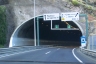 Santa Cruz East Tunnel