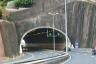 Santa Cruz West Tunnel