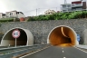 Tunnel de Ribeiro Real