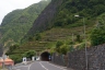 Tunnel de João Delgado