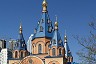 Église de l'icône Derzhavnaya