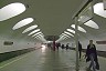 Otradnoye Metro Station