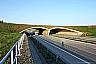 Hrabuvka Wildlife Crossing and Overpass (D1)