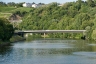 Pont Reinhold-Maier