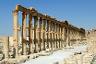 Große Säulenreihe von Palmyra