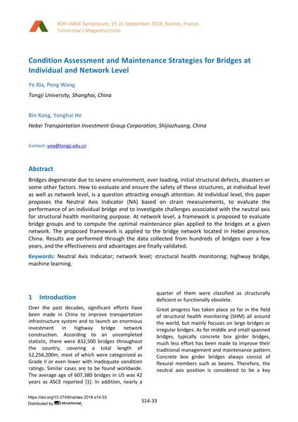  Condition Assessment and Maintenance Strategies for Bridges at Individual and Network Level