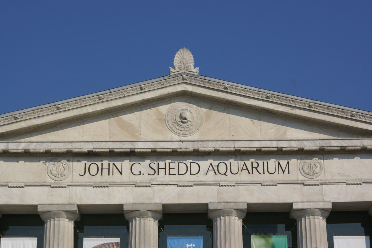 Shedd Aquarium 