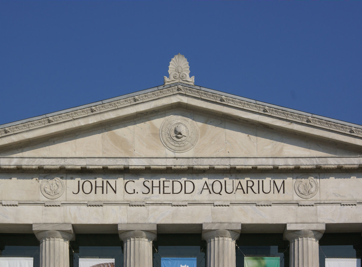 Shedd Aquarium 