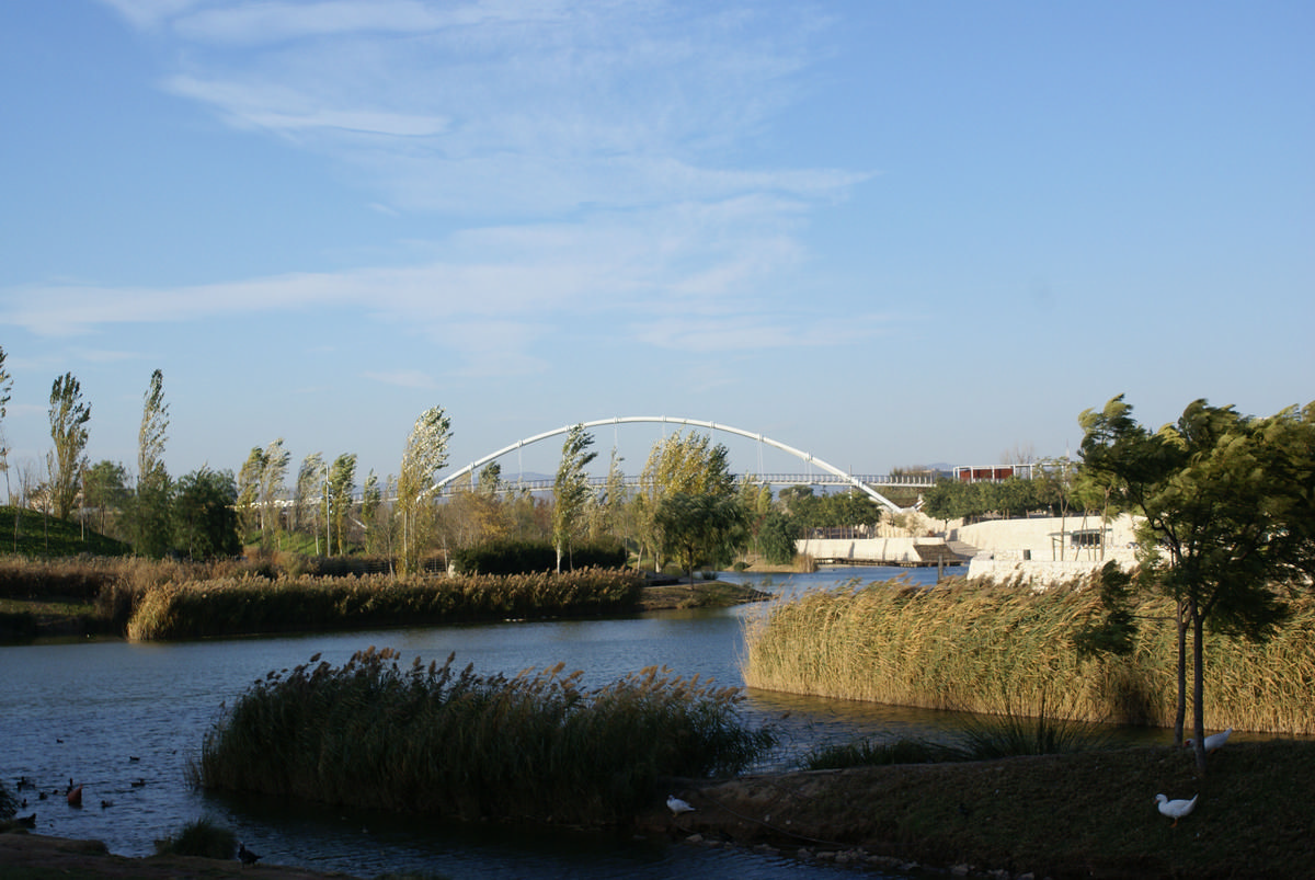 Bioparc Footbridge 