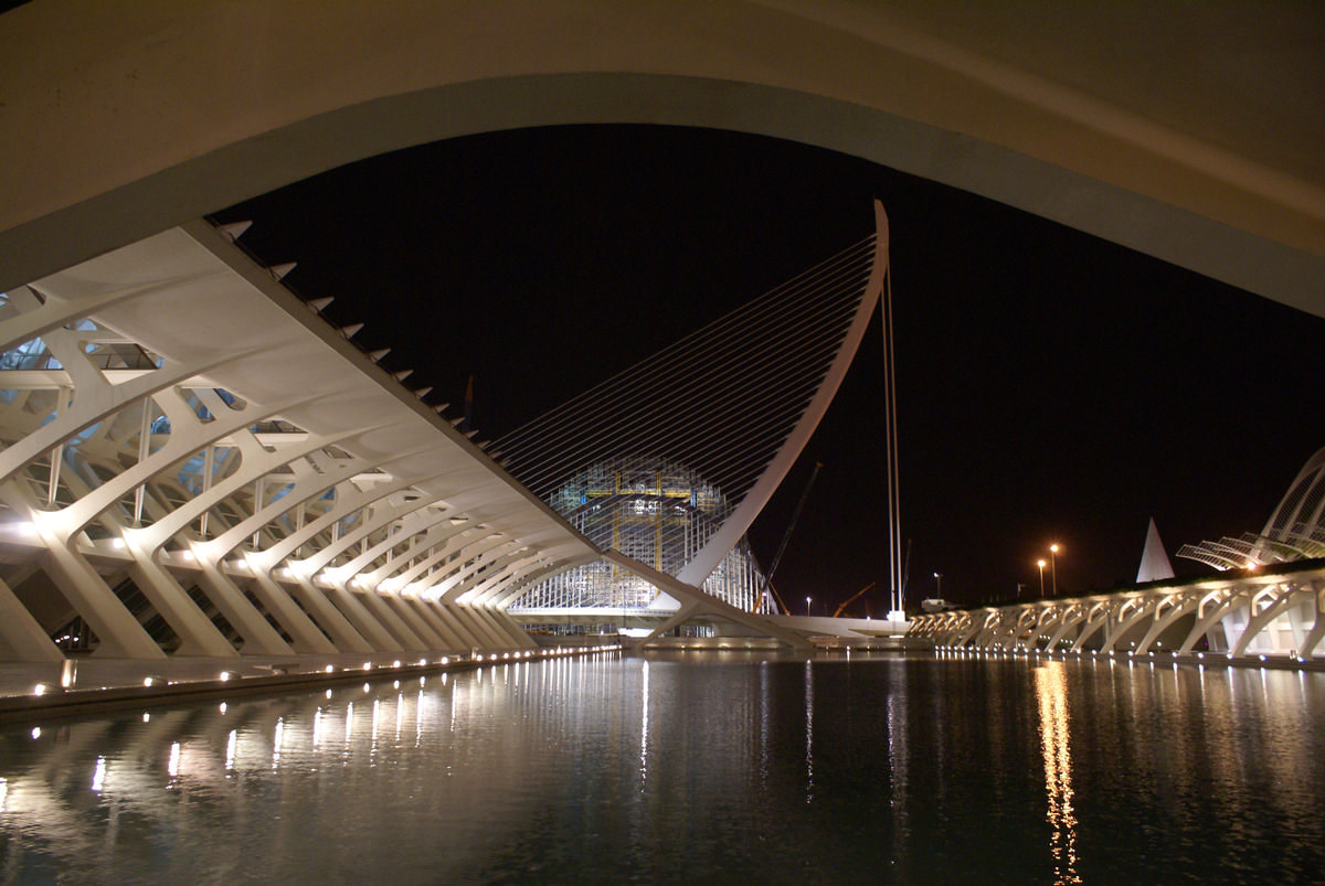 City of Arts and Sciences in Valencia Museu de les Ciències «Príncipe Felipe» & Serreria Bridge