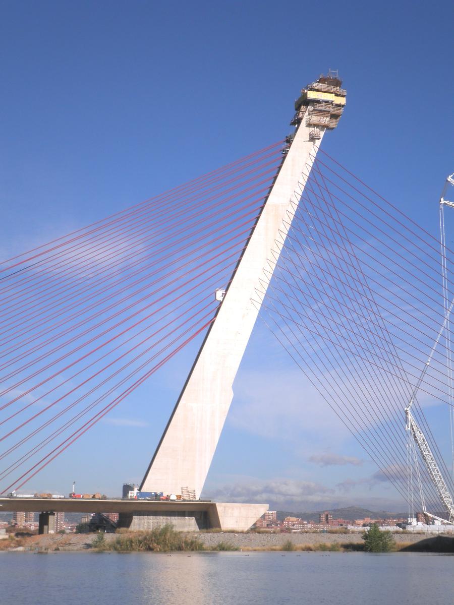 Talavera de la Reina Cable-stayed Bridge 