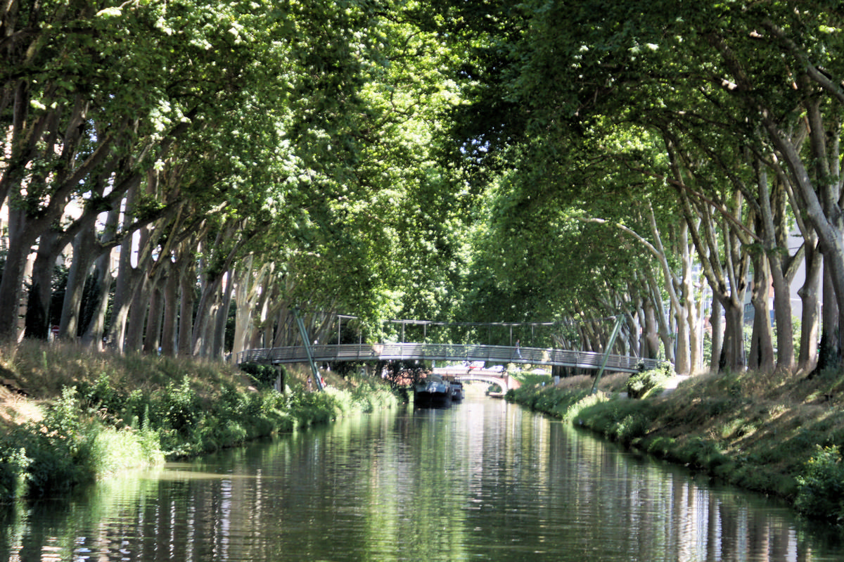 Canal de Brienne – Passerelle de l'Allée de Brienne 