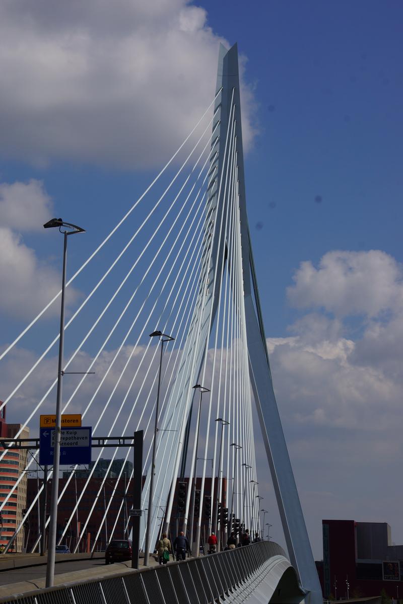 Pont Erasmus 