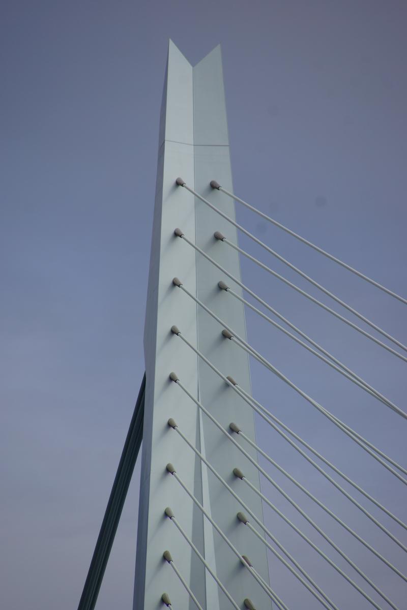 Pont Erasmus 