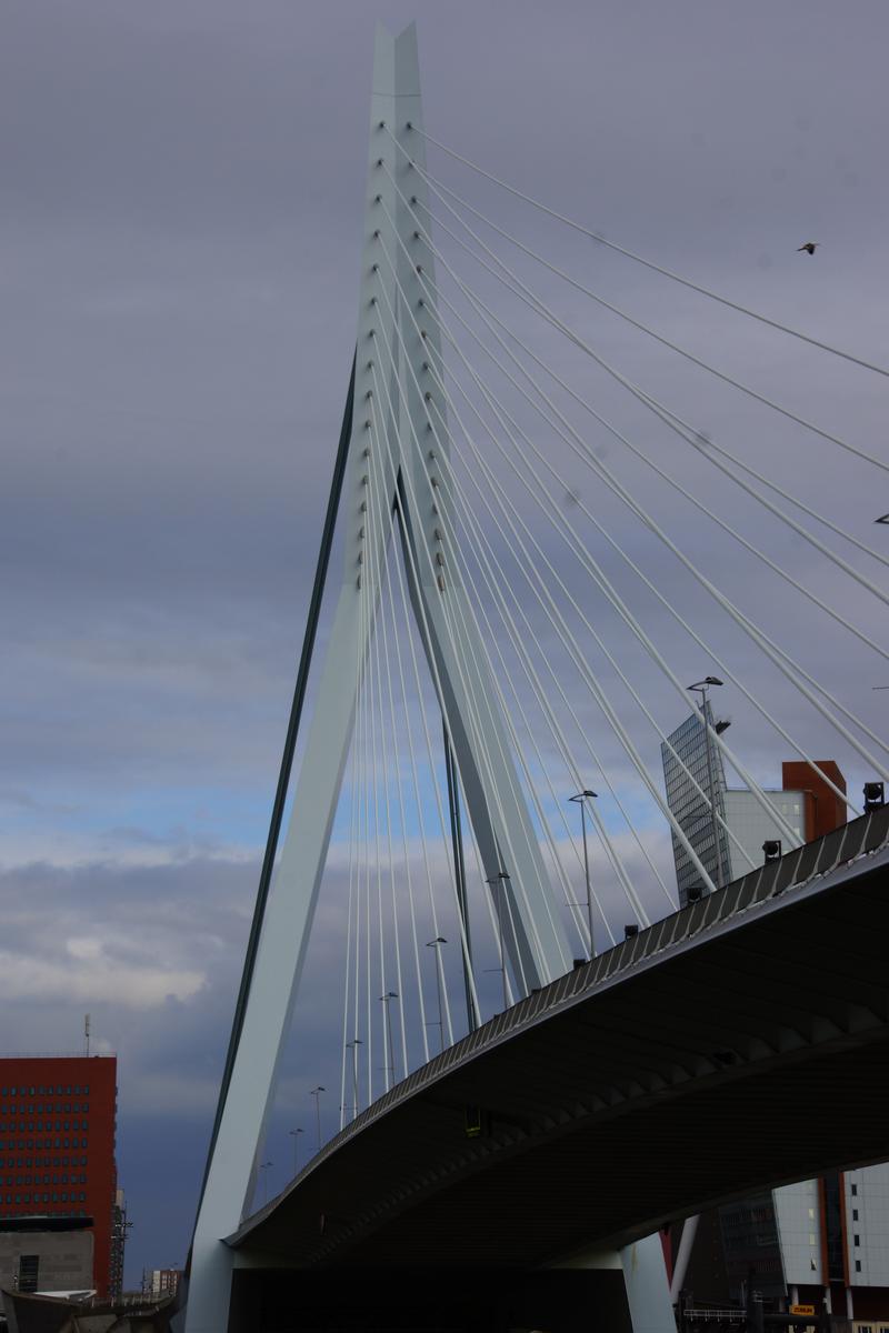 Erasmus-Brücke 
