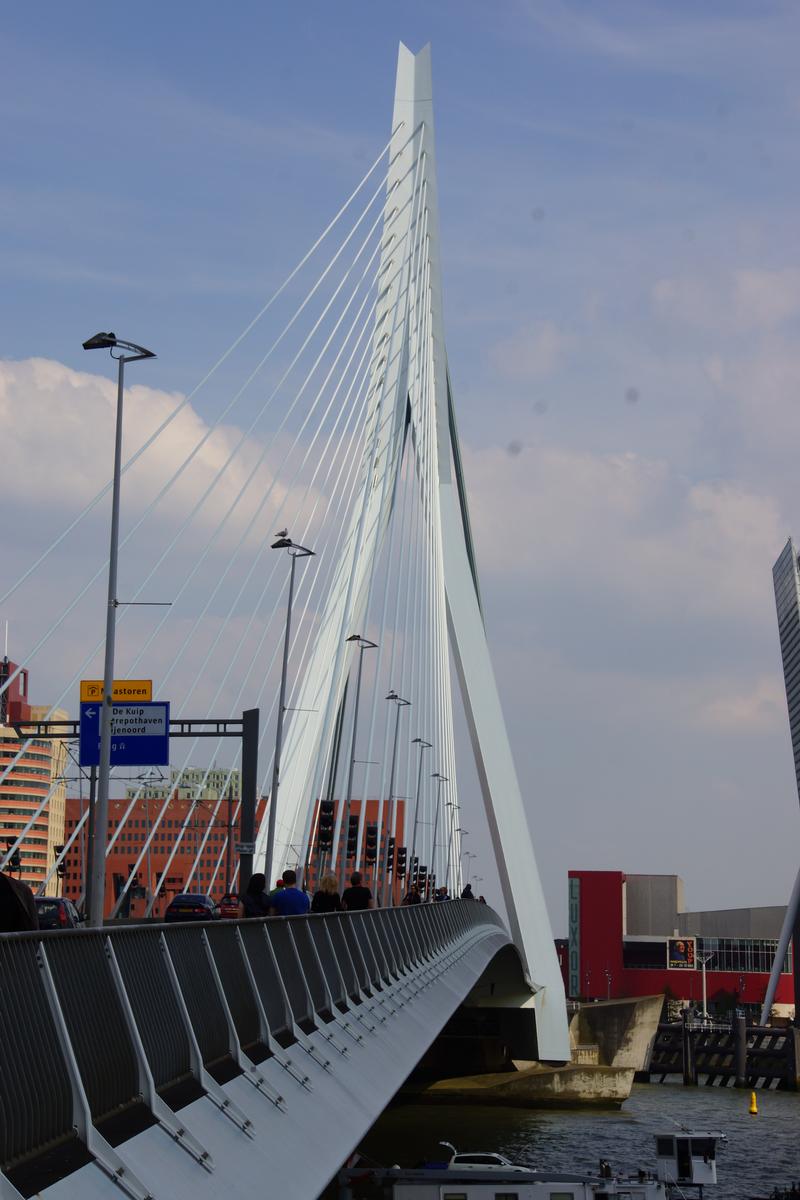 Erasmus Bridge 