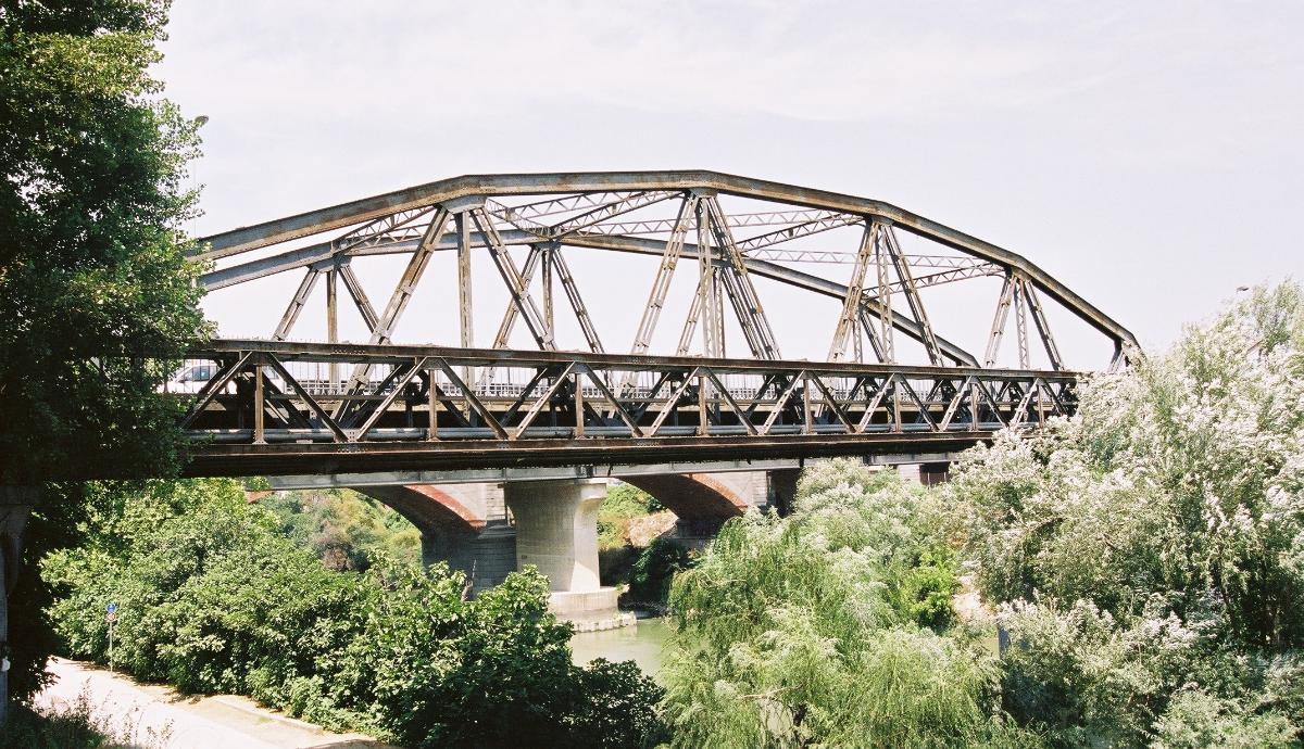 Ponte dell'Industria, Rome 