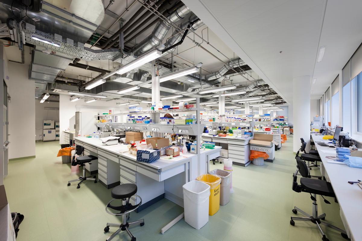 Research Institute of Molecular Pathology 