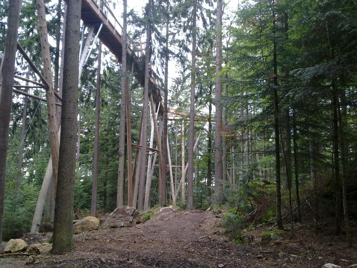 Baumwipfelpfad Bayerischer Wald 