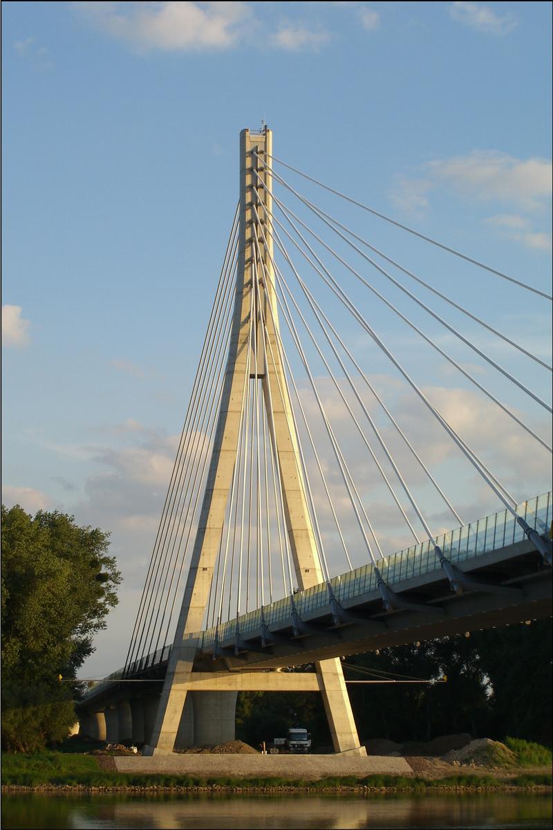 Schönebecker Elbauenbrücke 