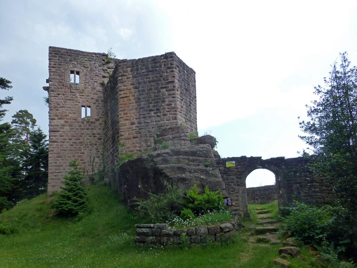 Burg Birkenfels 