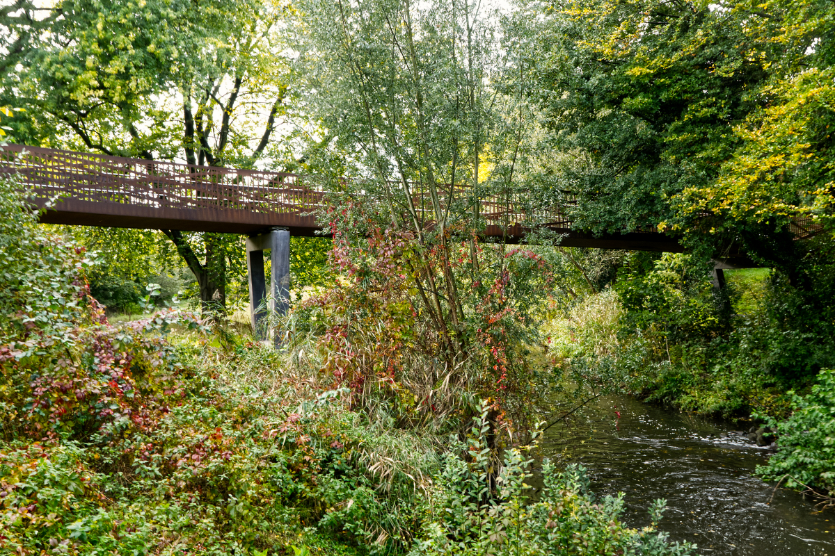 Great Dalke River Footbridge 