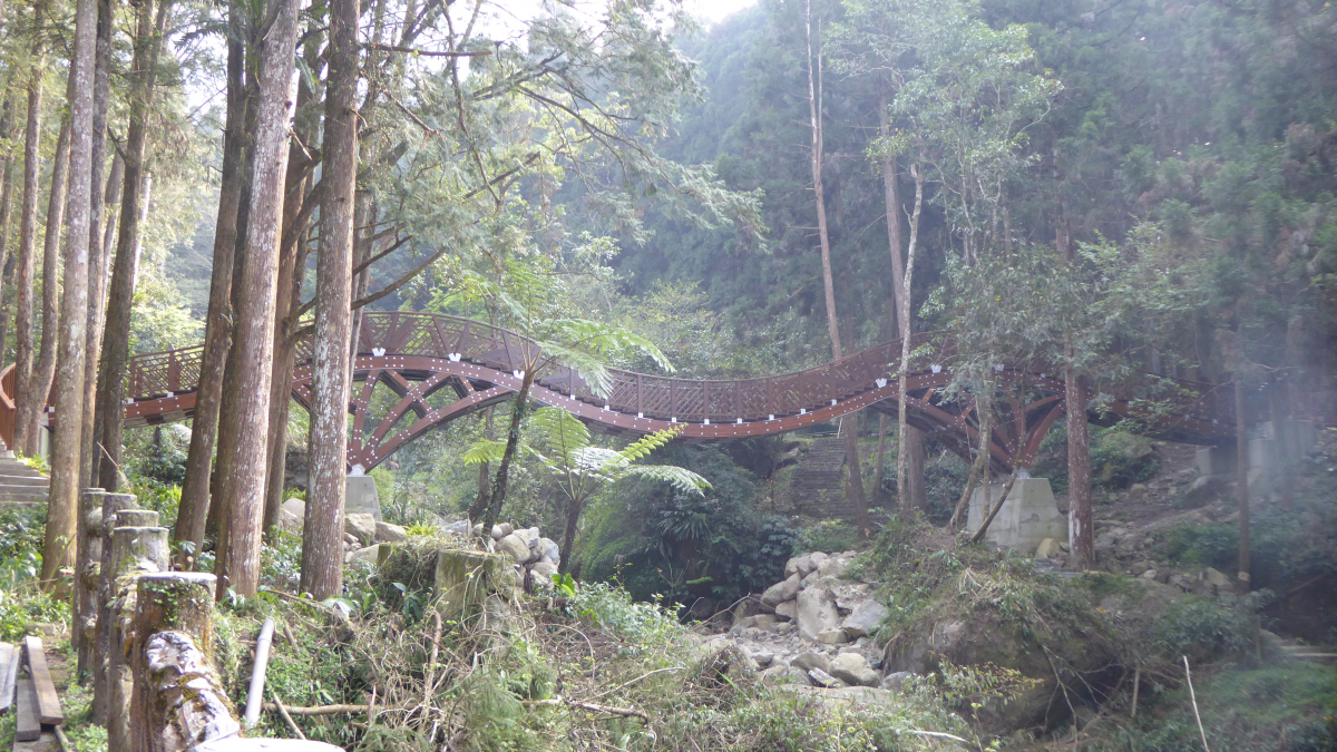 Design of a Stress Ribbon Glulam Footbridge Across a Steep Forest