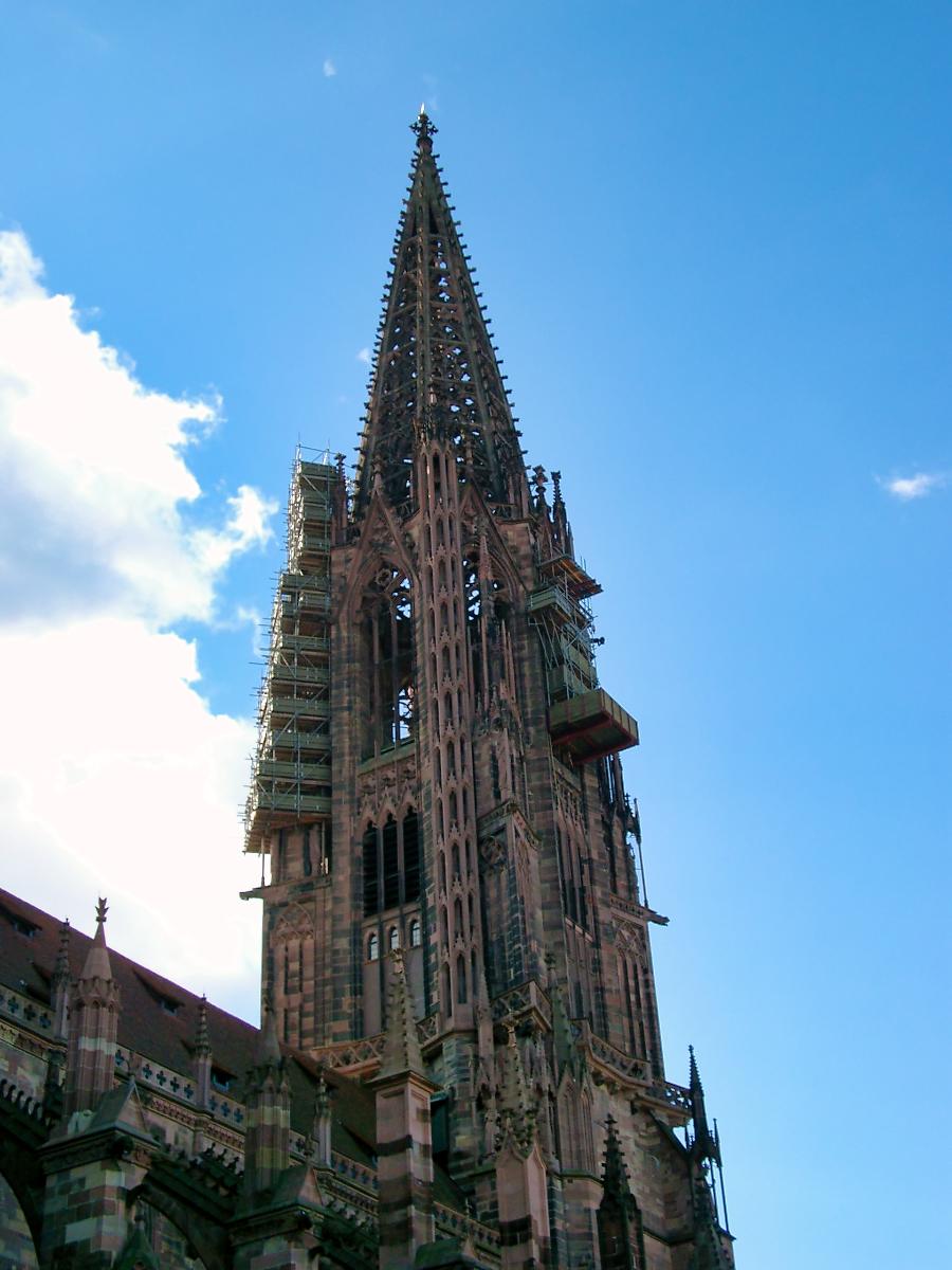 Freiburger Münster 