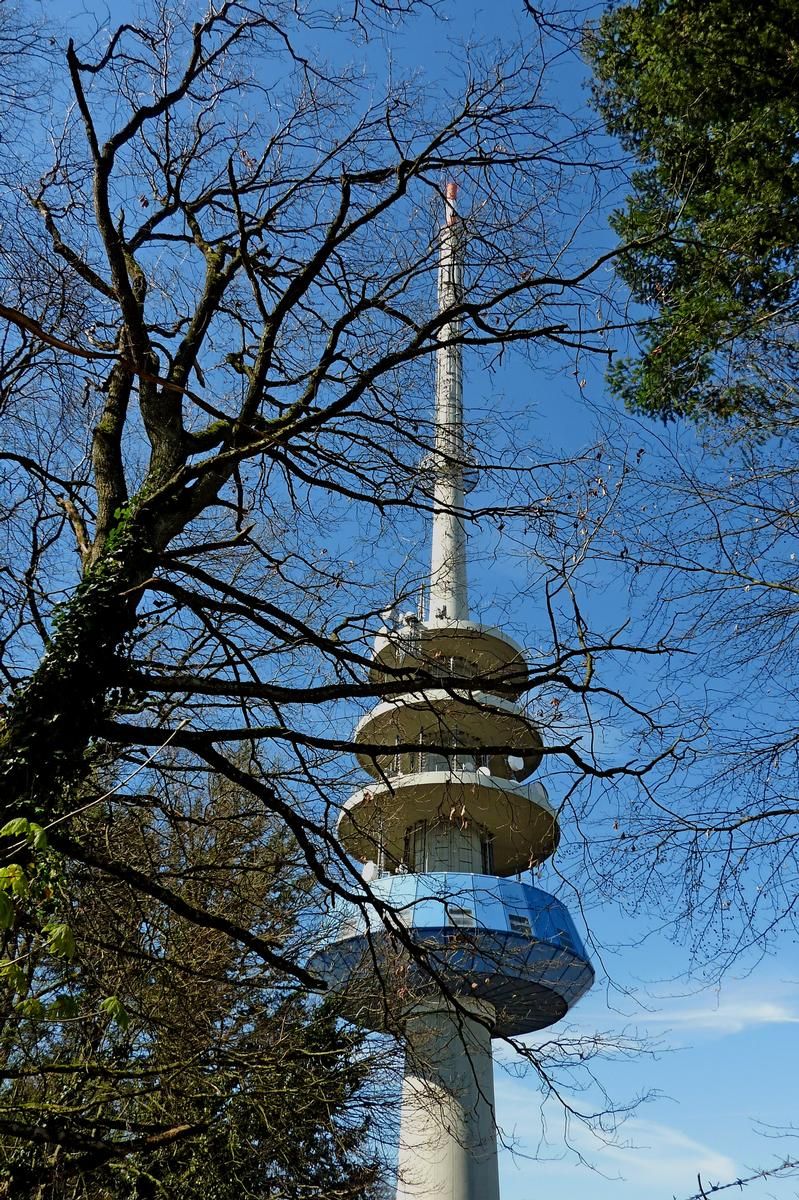 Freiburg Transmission Tower 