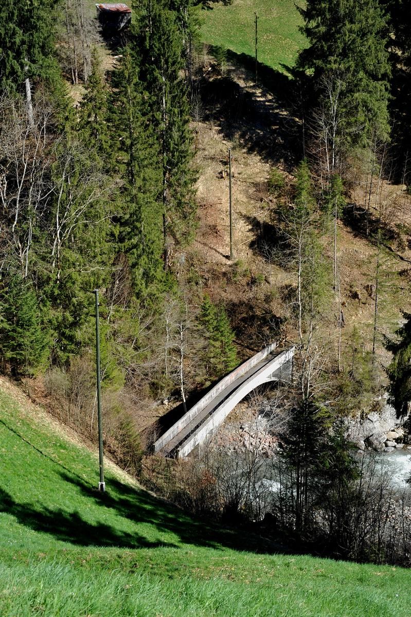 Ladholz Bridge 