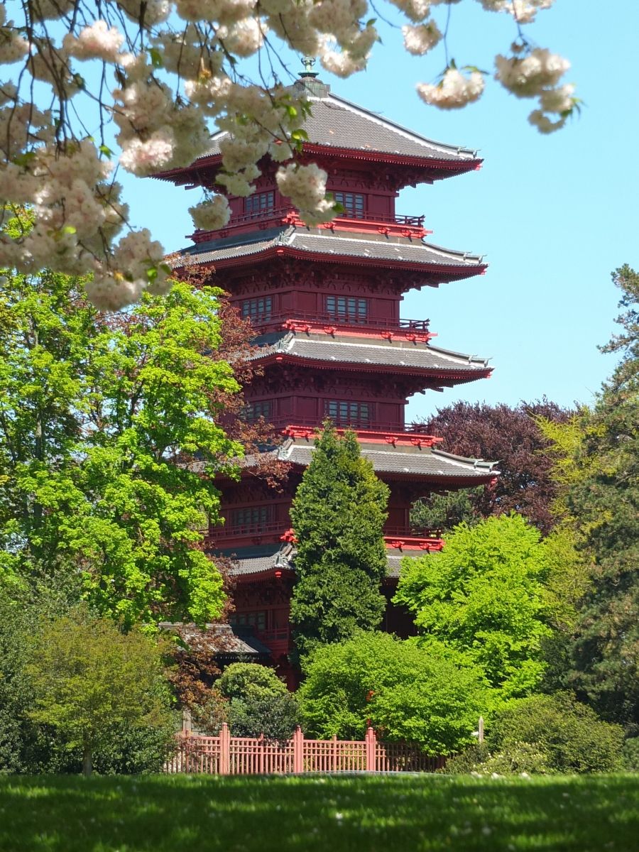 Japanischer Turm (Museen des Fernen Ostens) 