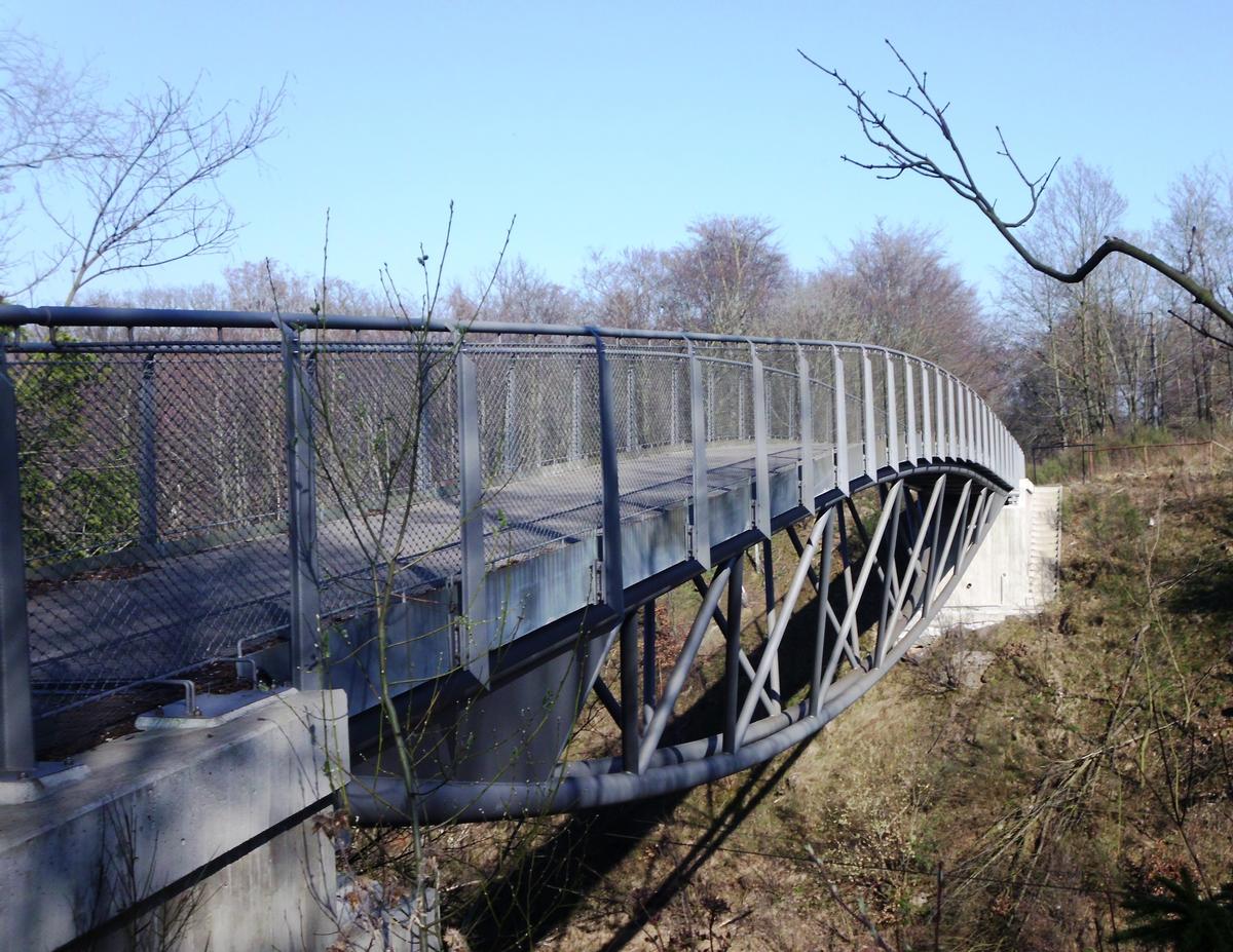 Otto Ebert Bridge 