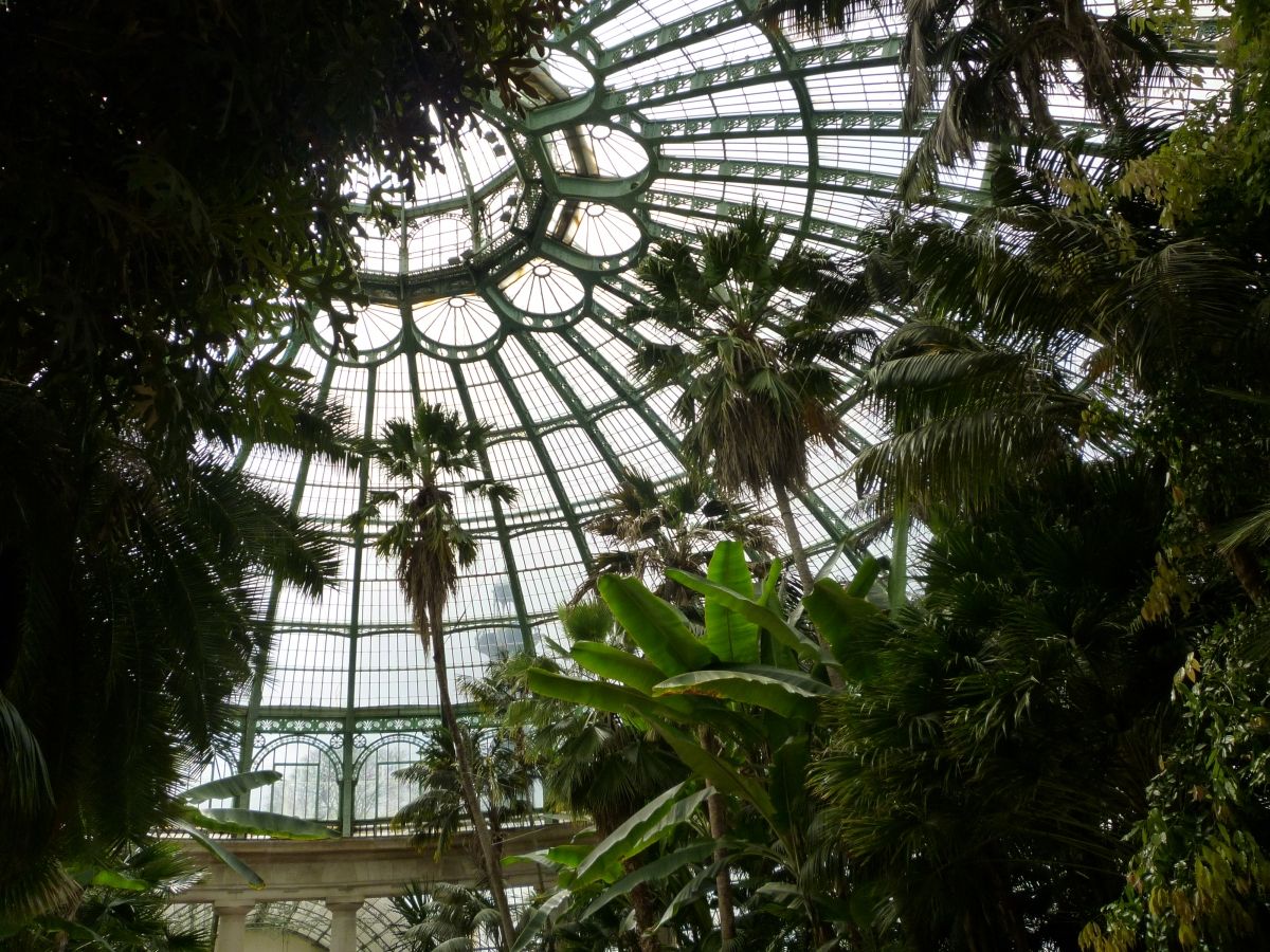 Royal Greenhouses of Laeken 