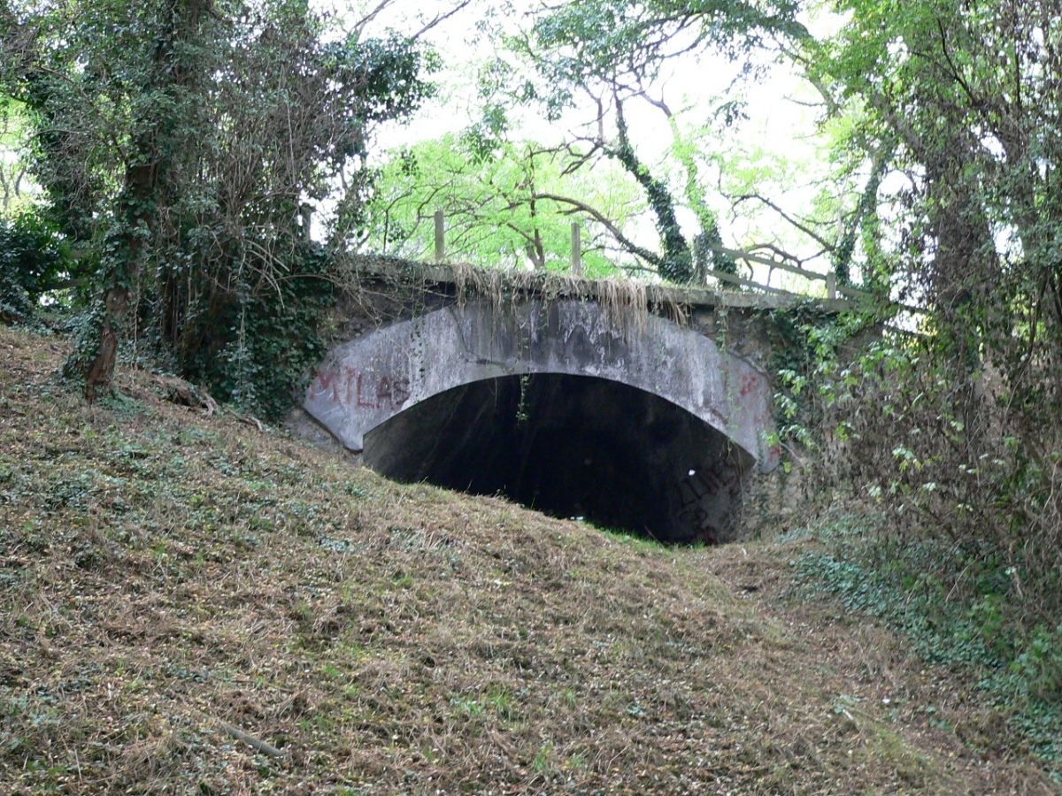 Stains Fort 