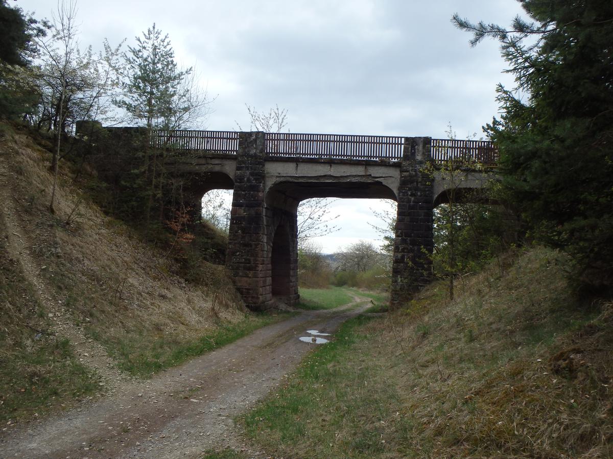 Dieterode Rail Overpass 