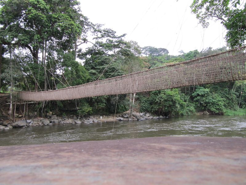 Pont de lianes de Poubara 