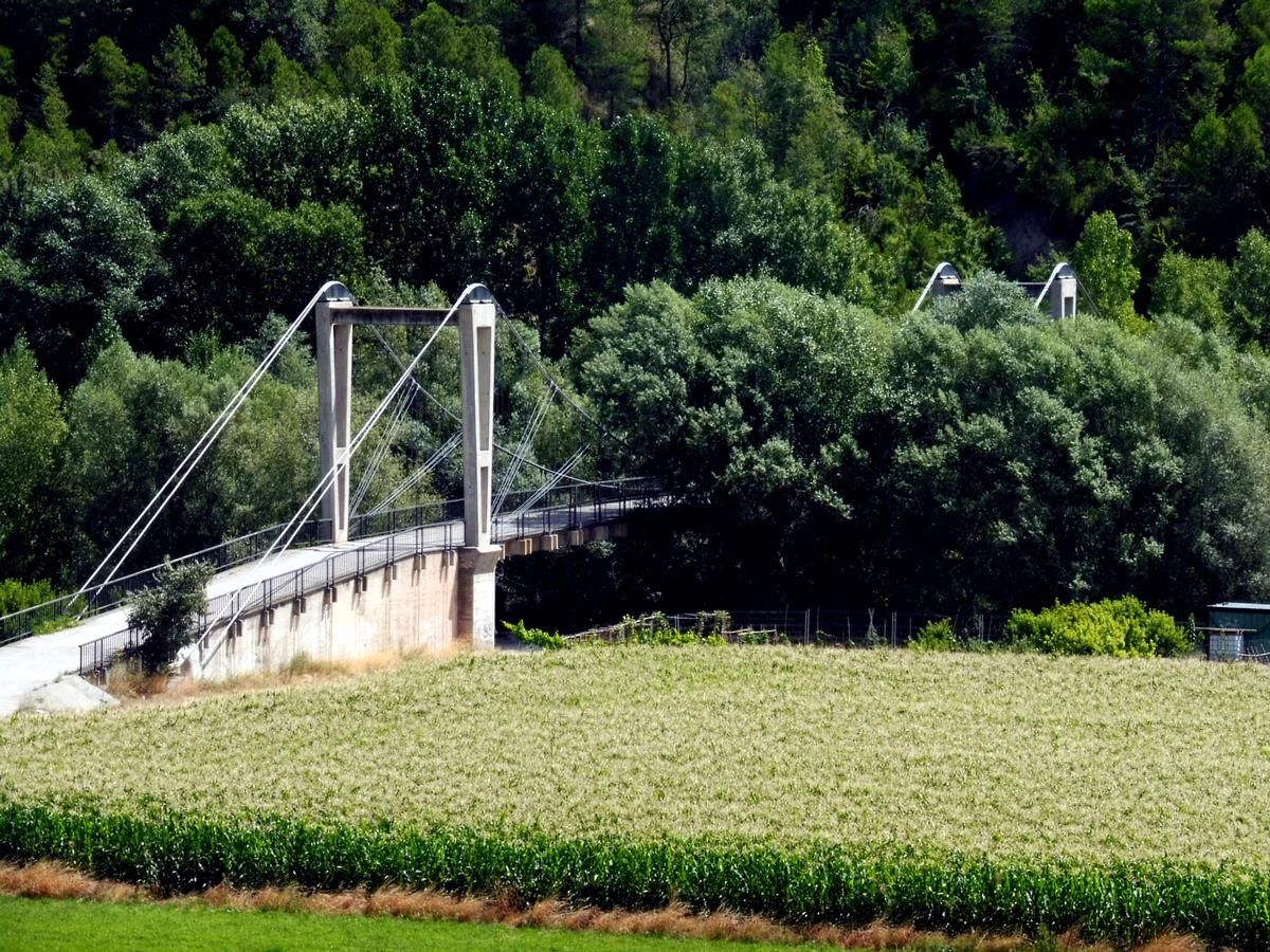 Figols Suspension Bridge 