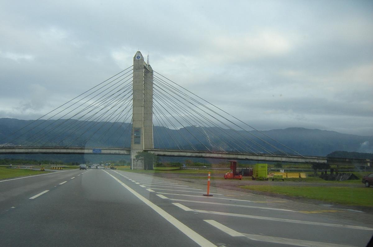 Mario Covas Viaduct 
