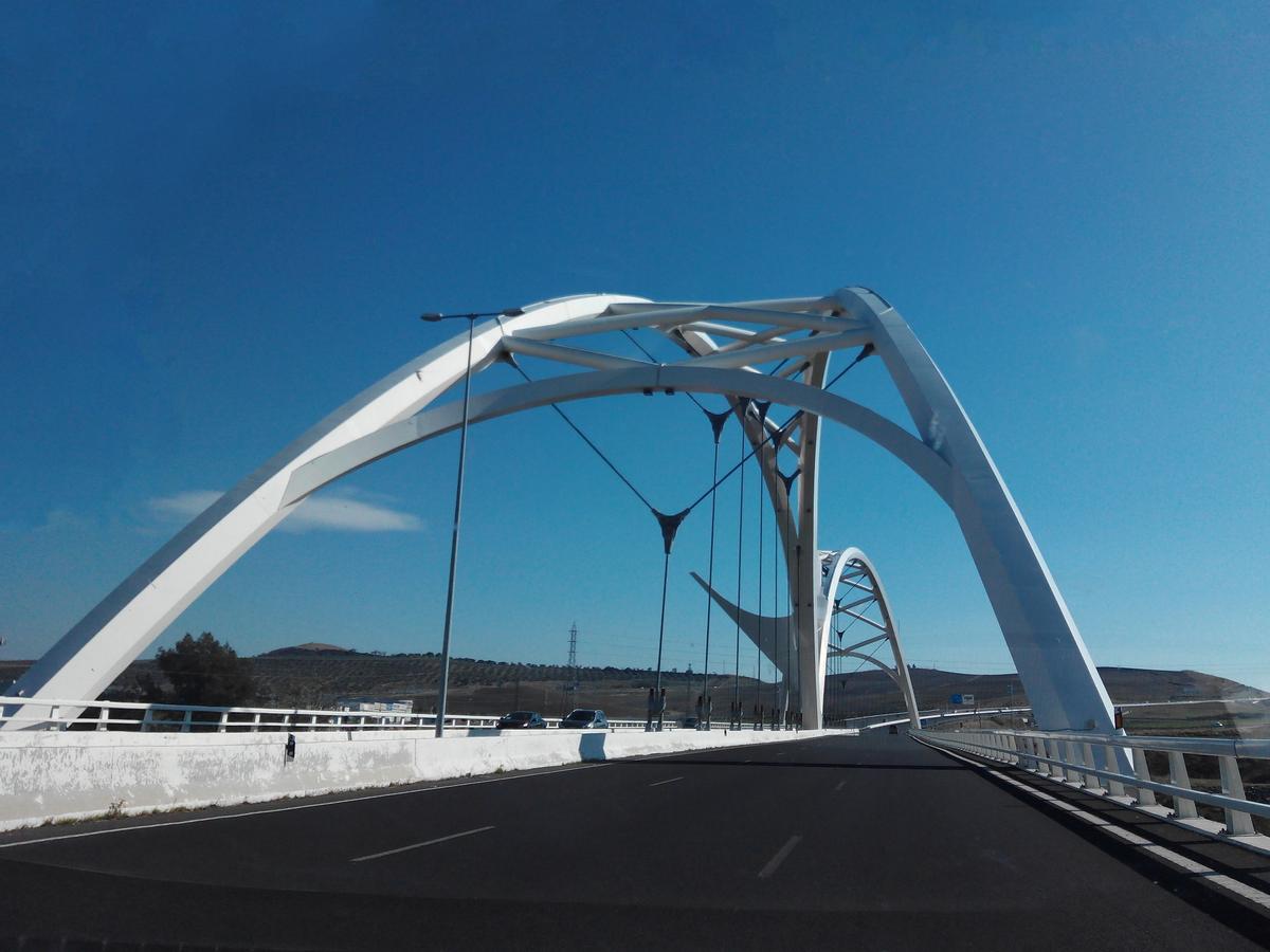 Abbas Ibn Firnás Bridge 