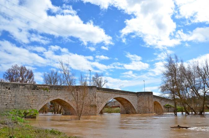 Old Puente Duero Bridge 