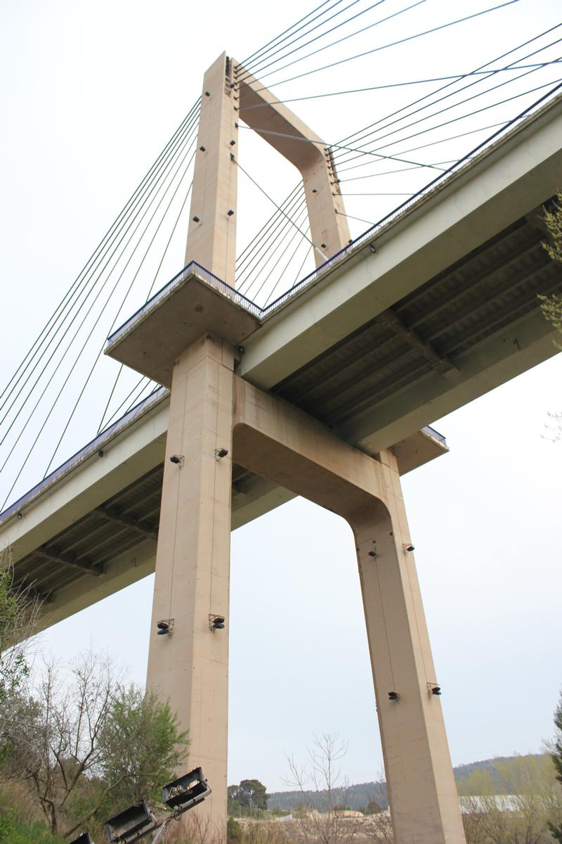 Puente de Fernando Reig 