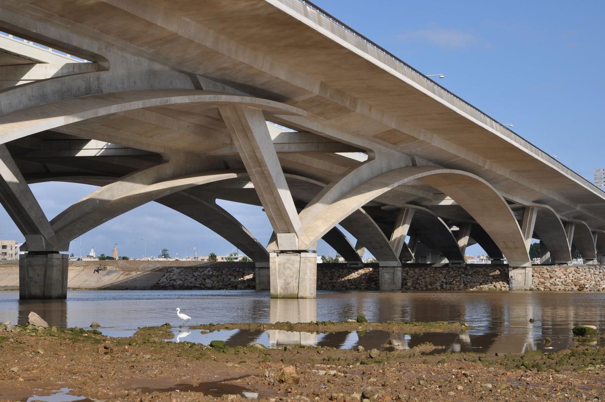 Hassan II Bridge 