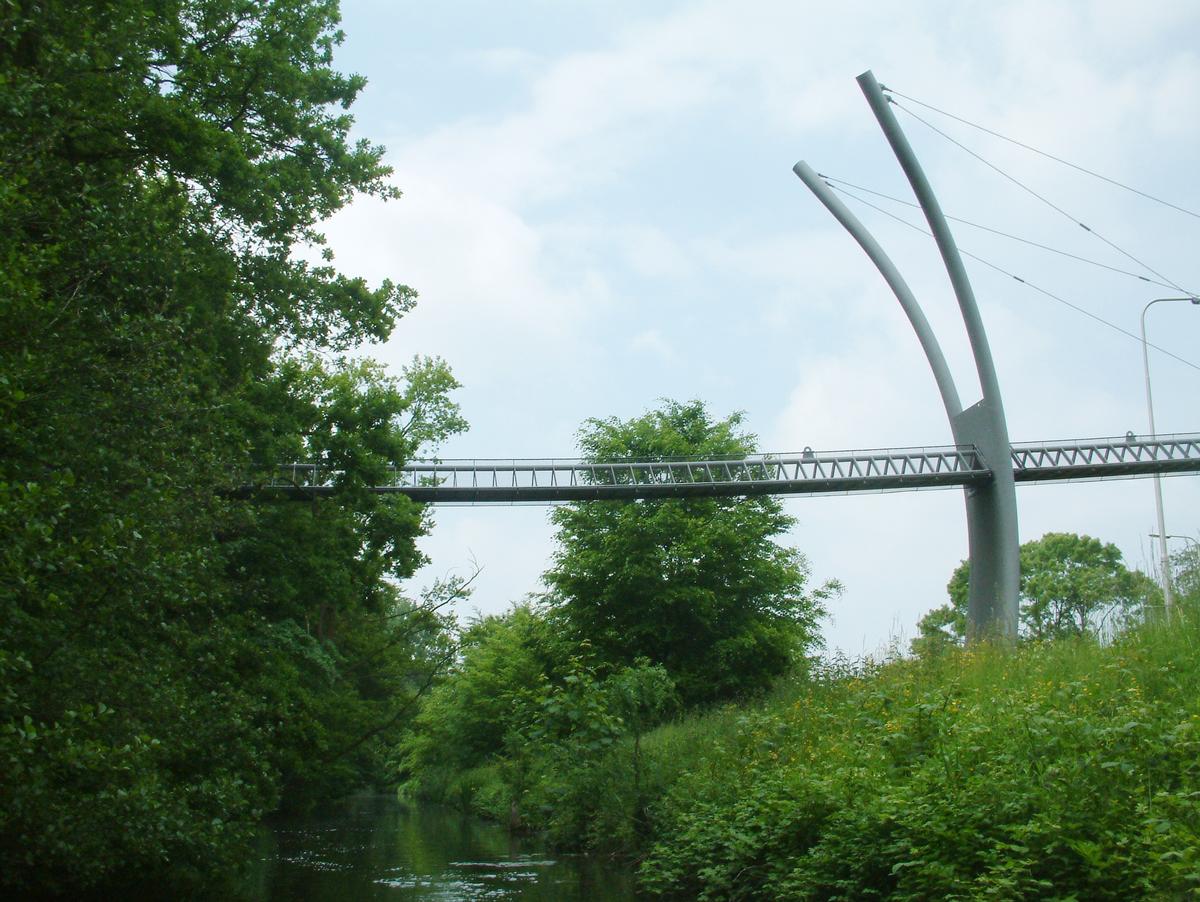Eichhörnchenbrücke Den Haag 