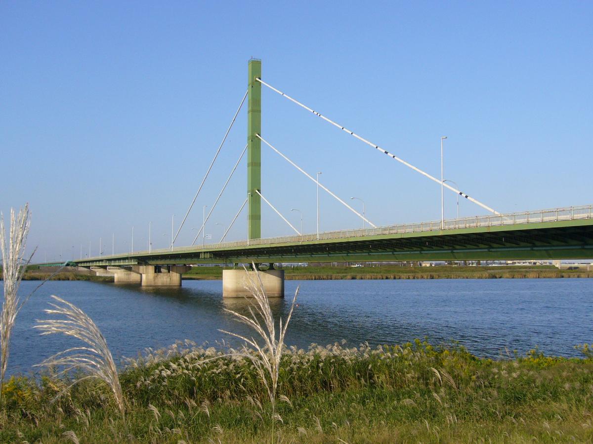 Suigo Bridge 