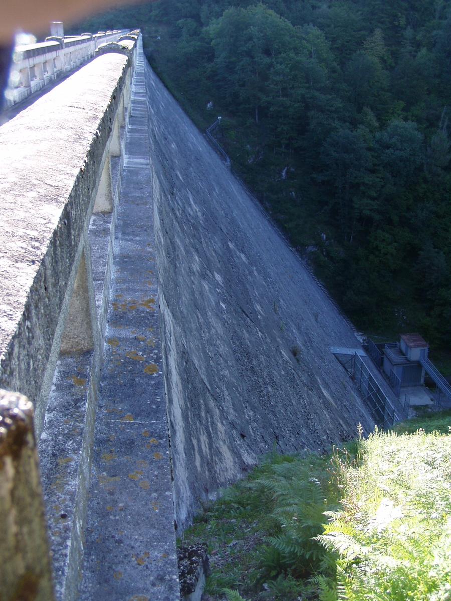Saints-Peyres Dam 