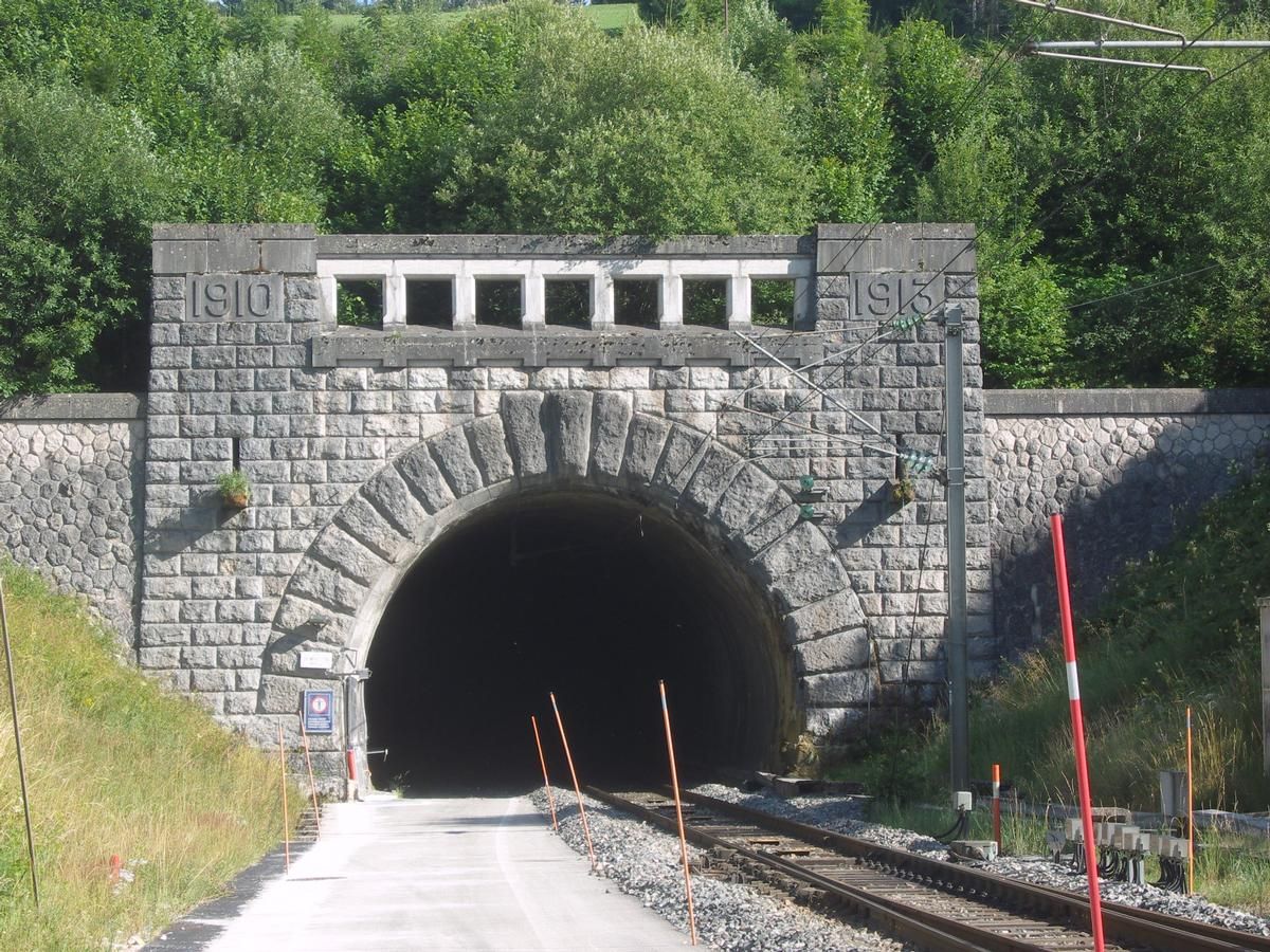 Tunnel du Mont-d'Or 